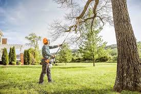 Trusted Alabaster, AL Tree Care Experts