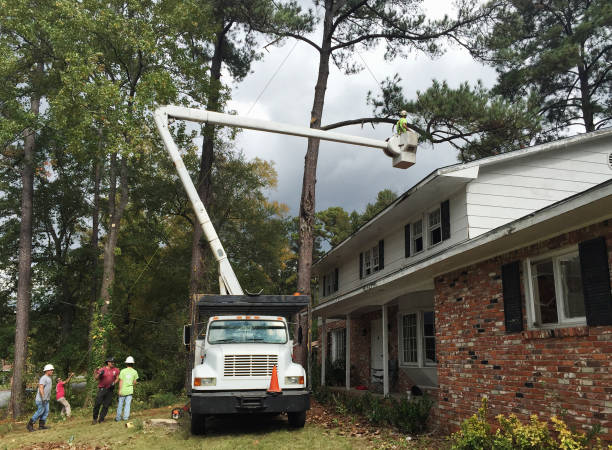 Best Arborist Consultation Services  in Abaster, AL